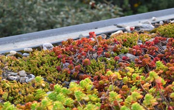 the cost of Abercanaid green roof installation