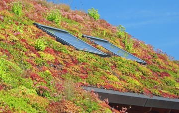 Abercanaid living roof systems
